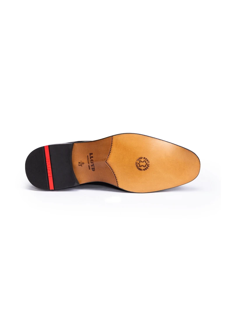 Lloyd TERRY Art. 14-141-20 Blitzangebot