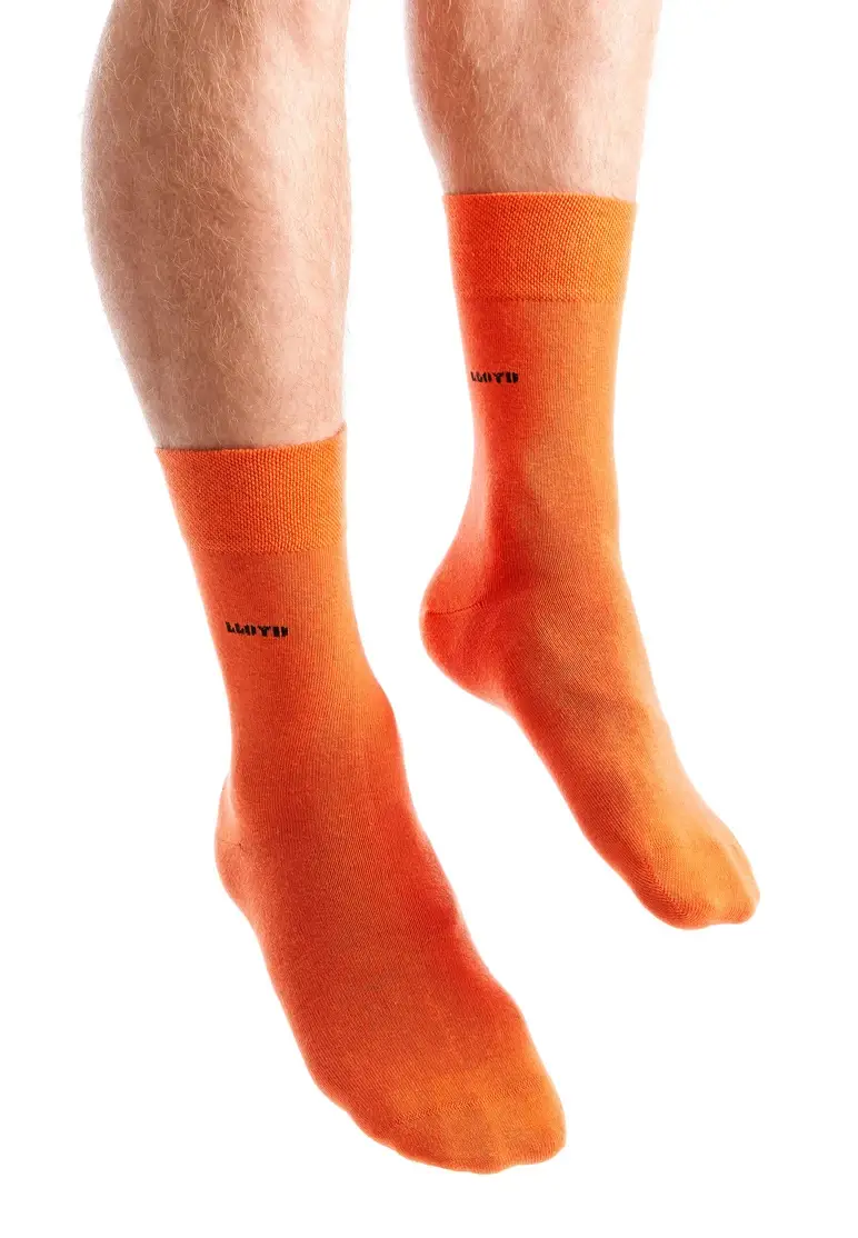 Lloyd Alexander Art. E23-61006-BN Sonderangebote
