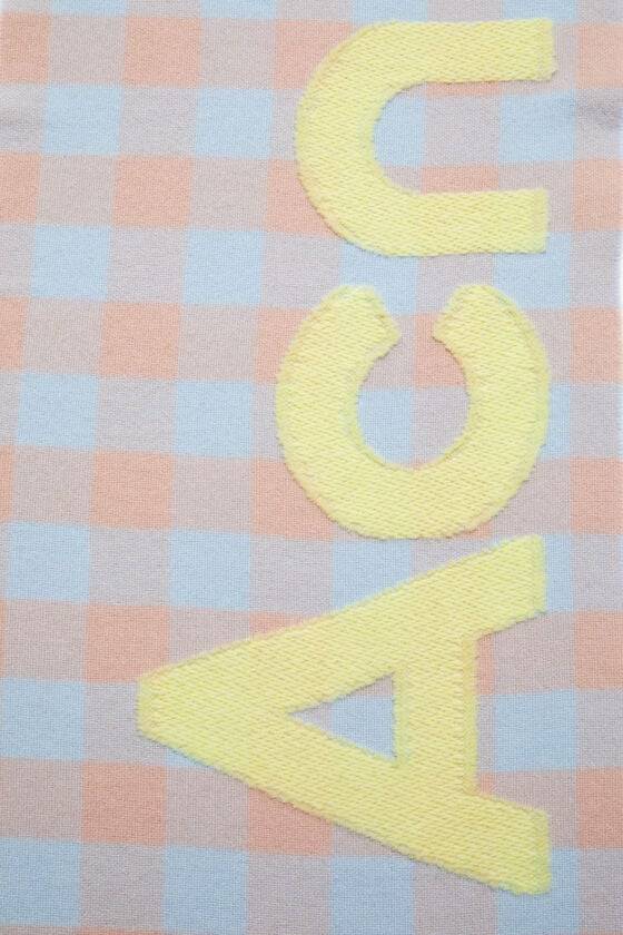 Acne Studios Karierter Schal mit Logo 50% Rabatt mit kostenlosem Versand