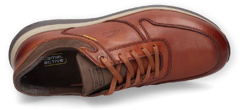 EMP "Sneaker Low" Schnürschuh braun von Camel Active Schlussverkauf