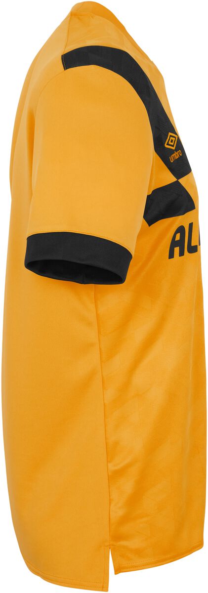 EMP "23/24 Home Jersey" Trikot multicolor von Dynamo Dresden Fabrikverkauf
